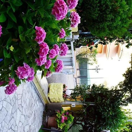 Guest house In Guest Rimini